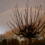 cropped-DSCF5815-scaled-1.jpg